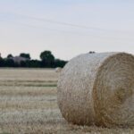 Reggio Emilia - paysage