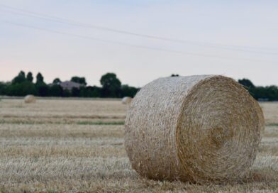 Reggio Emilia - paysage