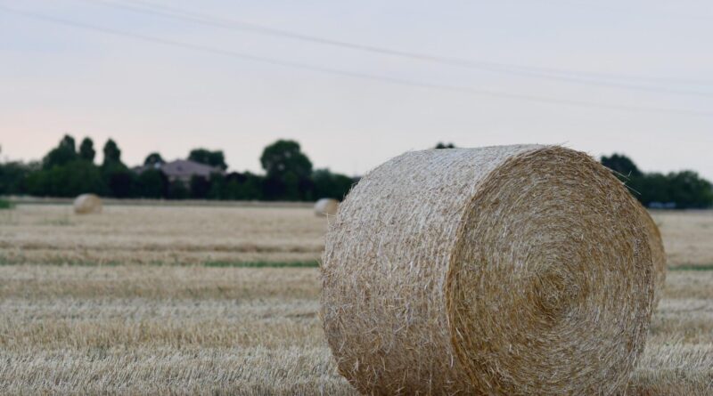 Reggio Emilia - paysage