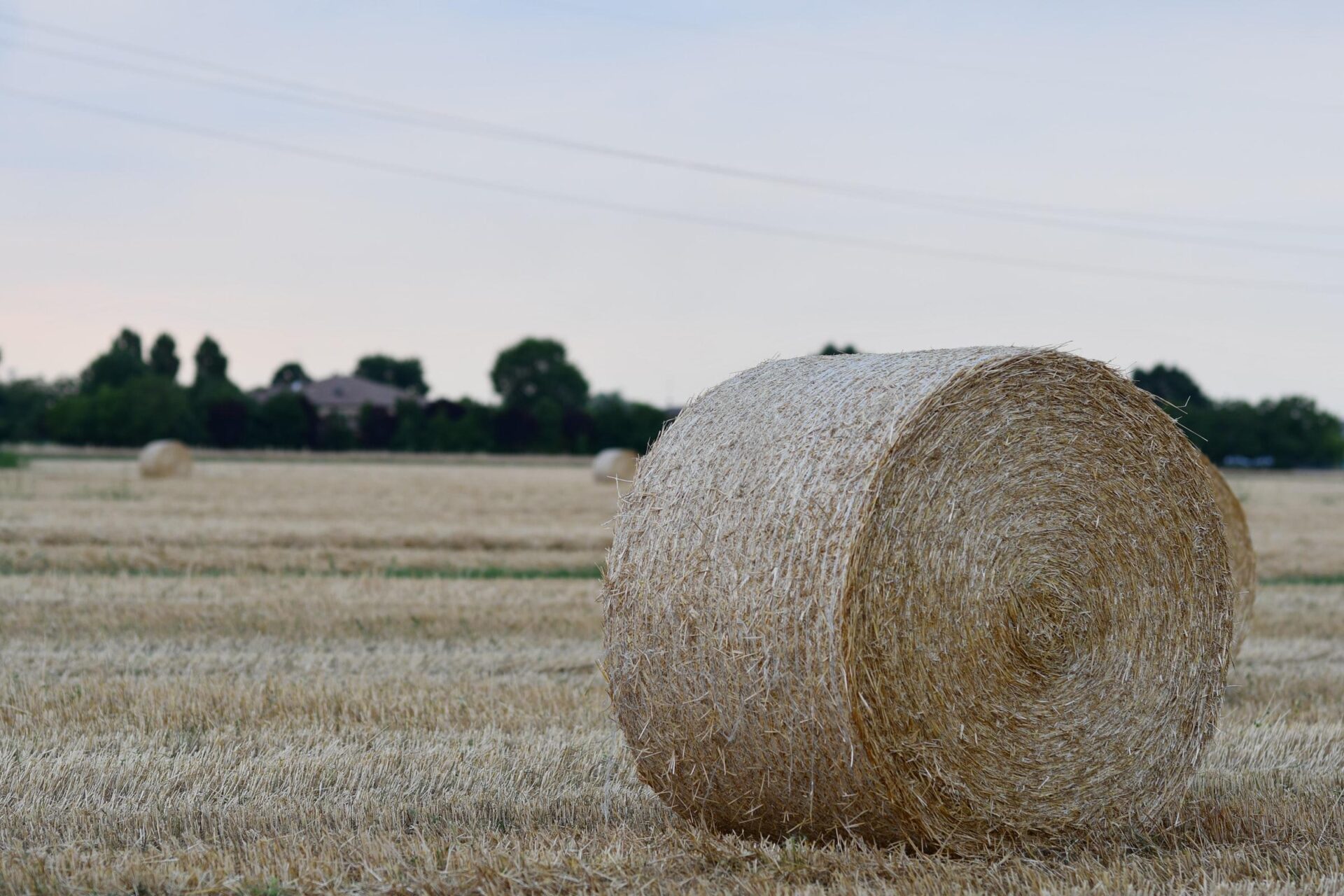 Reggio Emilia - paysage