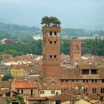 Lucques - Tour Guinigi