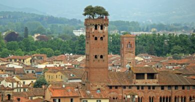 LUCCA - Tour Guinigi