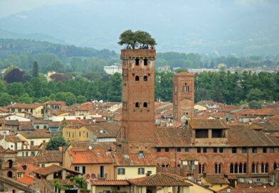 LUCCA - Tour Guinigi