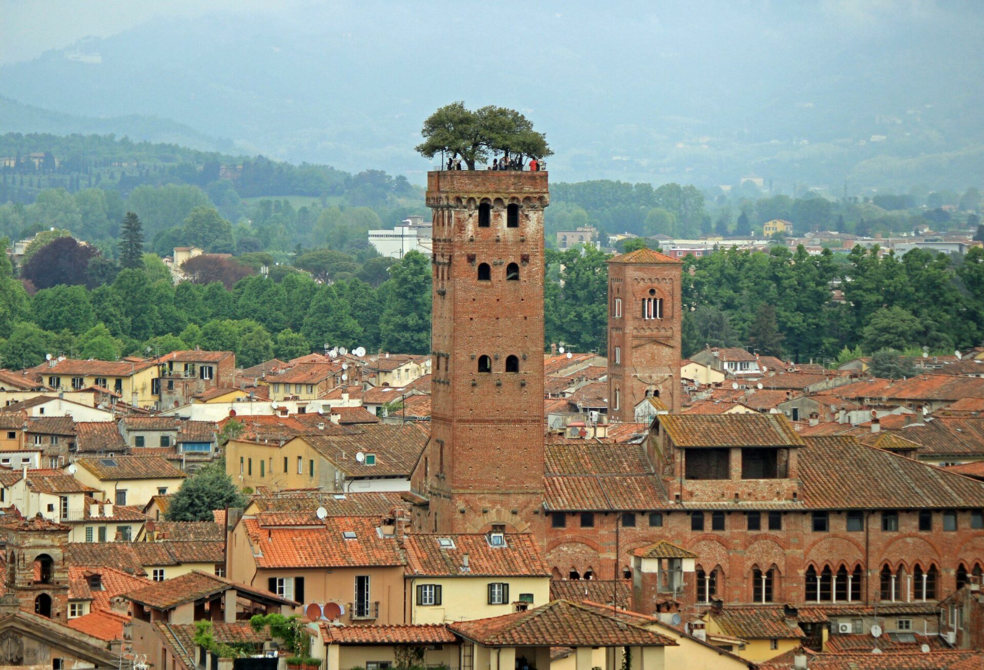 LUCCA - Tour Guinigi