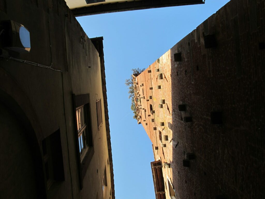 LUCQUES - Tour Guinigi (2)