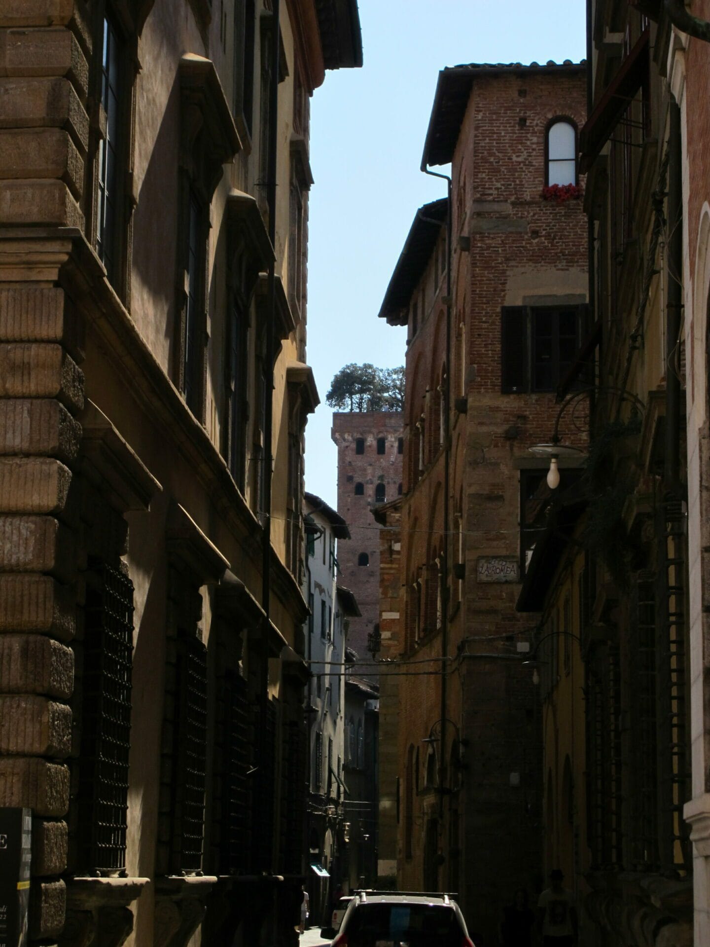 LUCQUES - Tour Guinigi