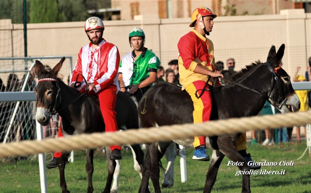 Asciano - Palio dei Ciuchi