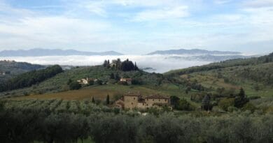 Paysage toscan avec des oliviers