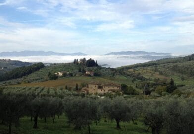 Paysage toscan avec des oliviers