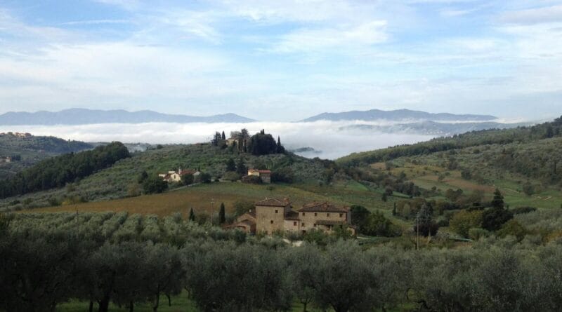 Paysage toscan avec des oliviers